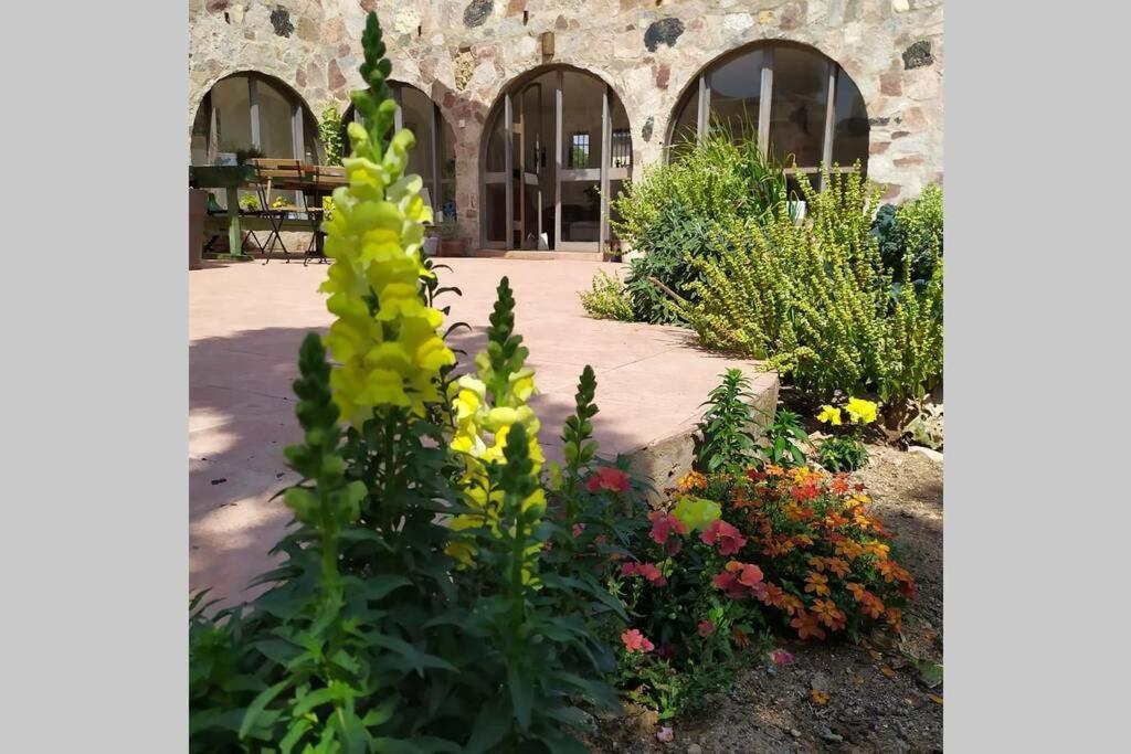 Eilat Stone - Patio אבן אילת - פטיו Apartment Exterior photo