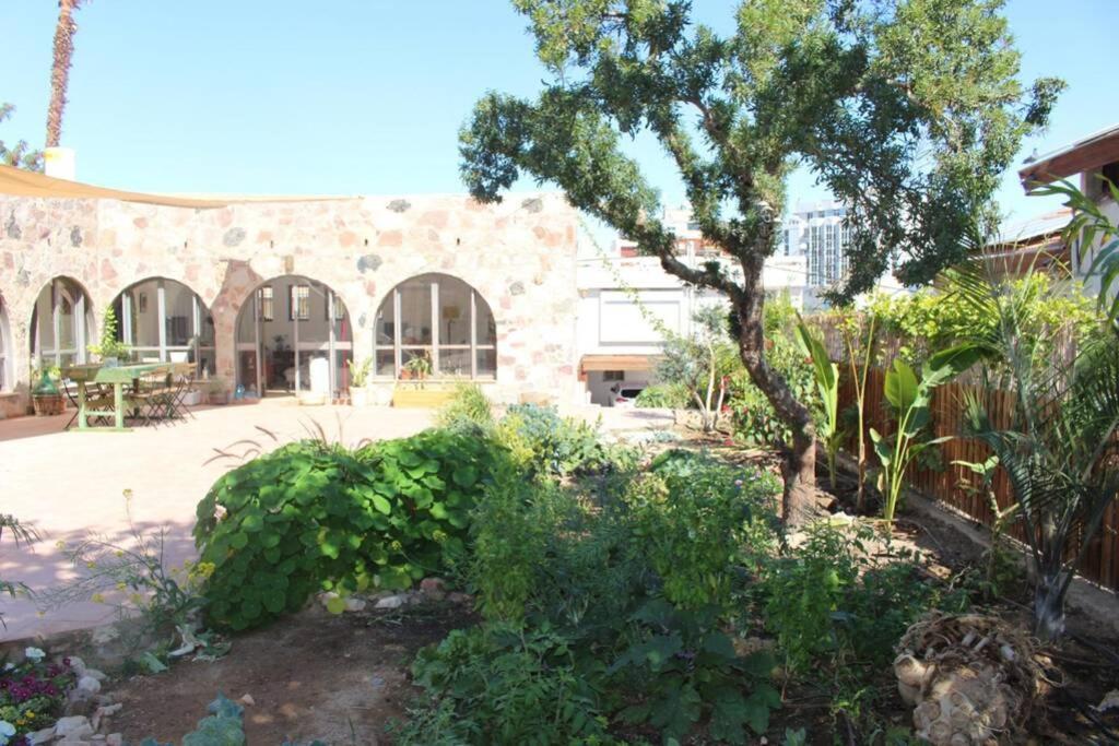 Eilat Stone - Patio אבן אילת - פטיו Apartment Exterior photo